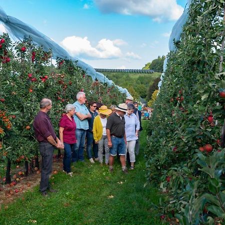 Vakantie Oord Zonnehoeve Valkenburg aan de Geul Luaran gambar