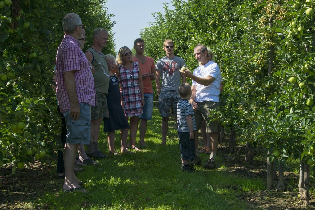 Vakantie Oord Zonnehoeve Valkenburg aan de Geul Luaran gambar